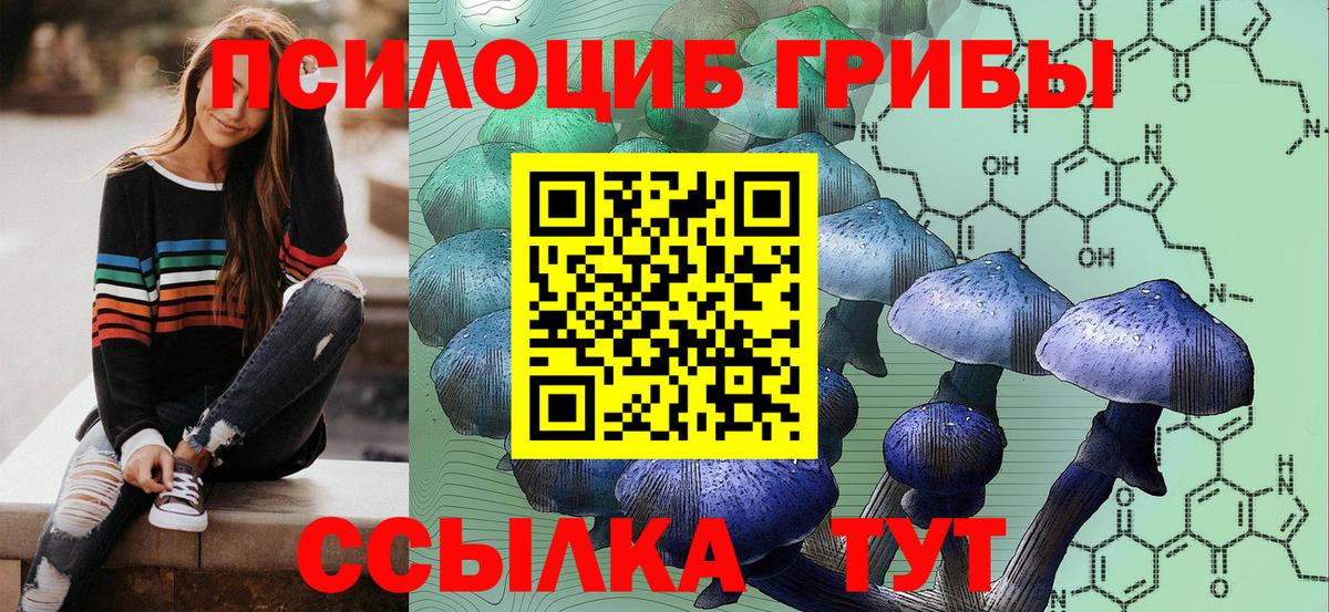 Псилоцибиновые грибы MAGIC MUSHROOMS Пугачёв